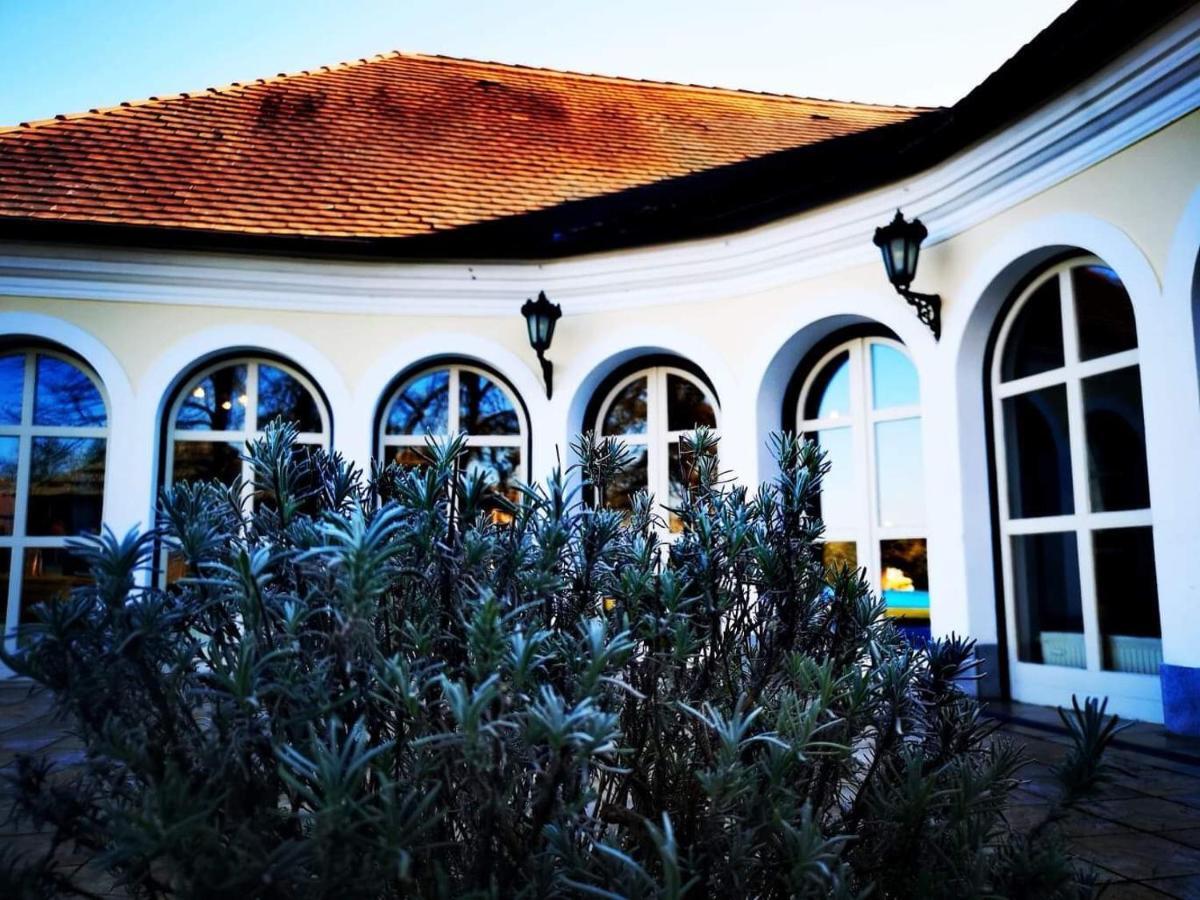 Ginti Panzio, Orseg Hotell Magyarszombatfa Exteriör bild